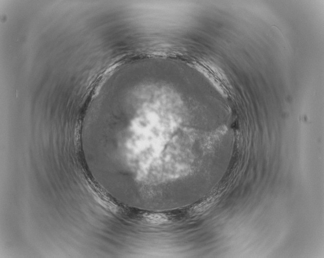 X0000087380409200705111740