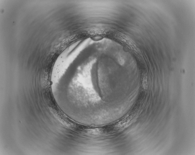 X0000087380411200705111740