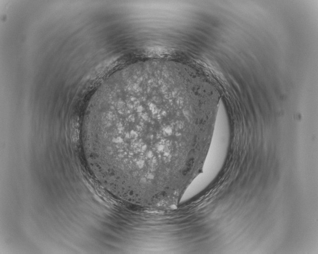 X0000087380413200705111740