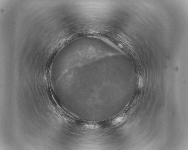 X0000087380415200705111740