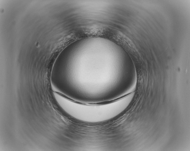 X0000087380416200705111740