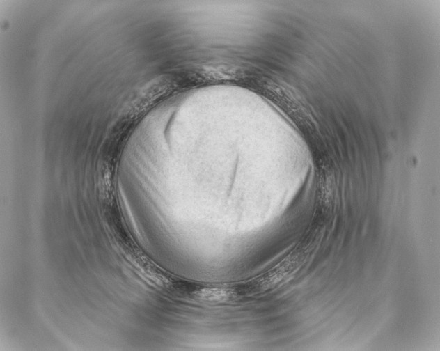 X0000087380418200705111740