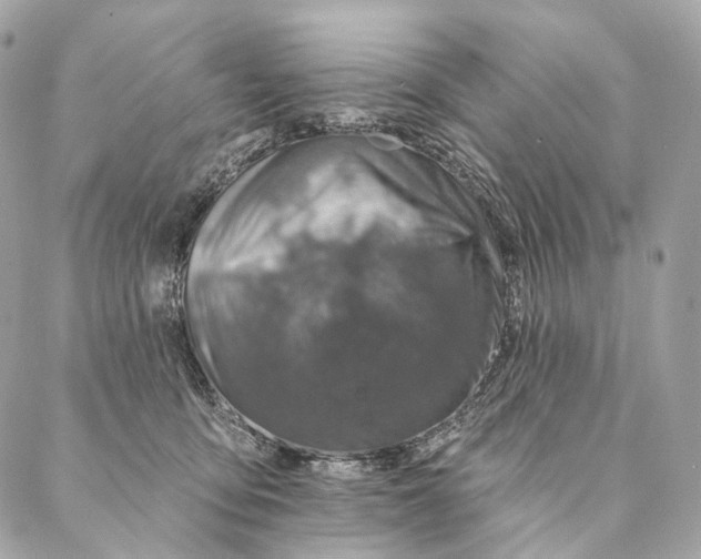 X0000087380419200705111740