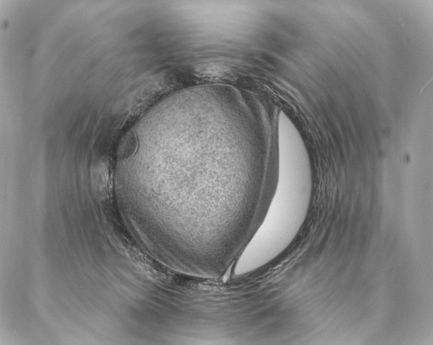 X0000087380420200705111740