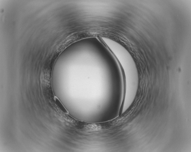 X0000087380421200705111740