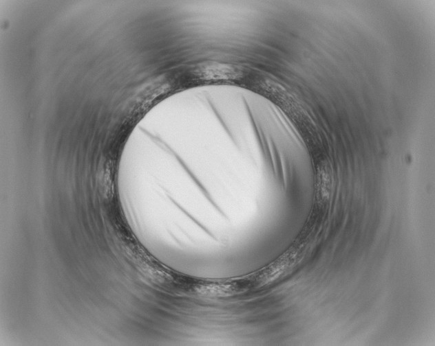 X0000087380422200705111740