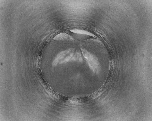 X0000087380423200705111740