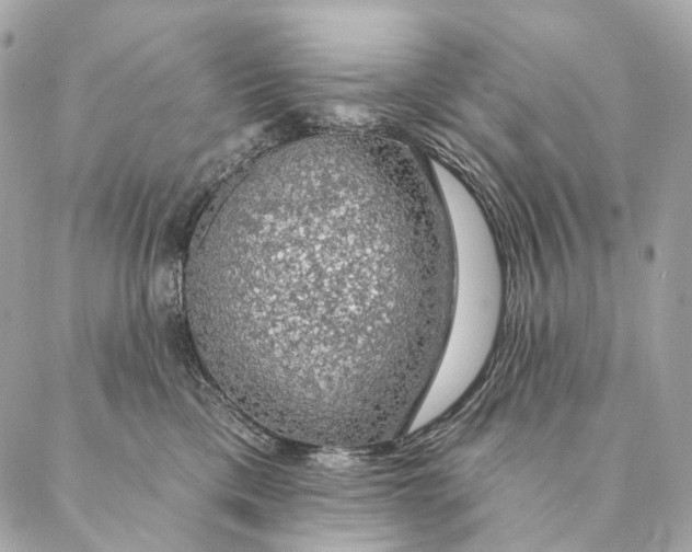 X0000087380425200705111740