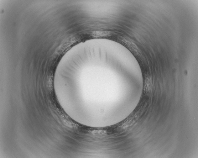 X0000087380426200705111740