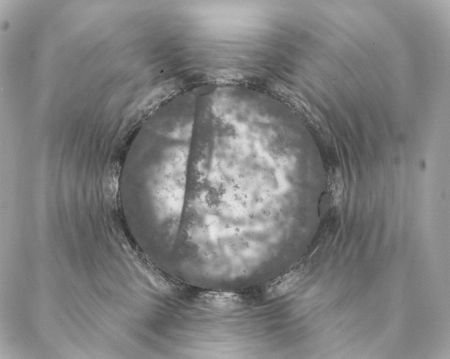 X0000087380427200705111740