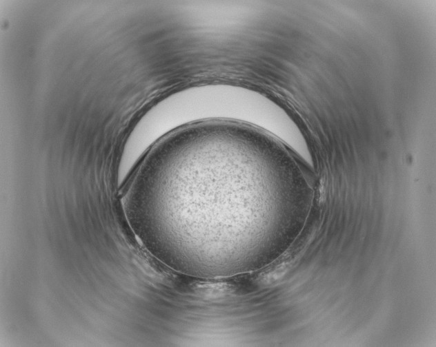 X0000087380428200705111740