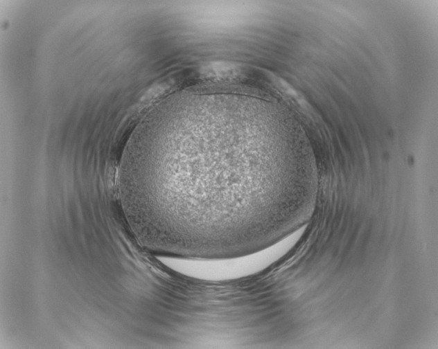 X0000087380429200705111740