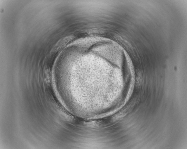 X0000087380430200705111740