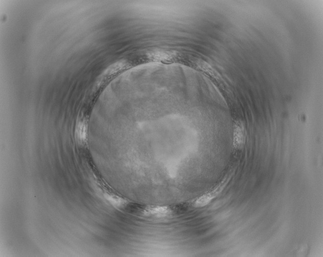 X0000087380431200705111740