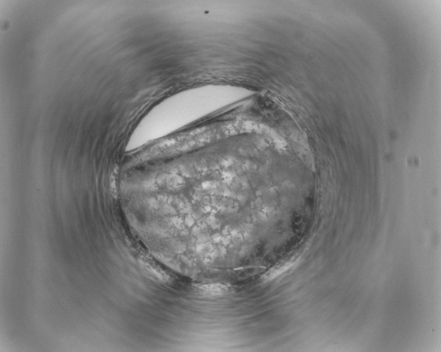 X0000087380432200705111740