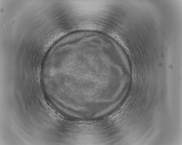 X0000087380434200705111739