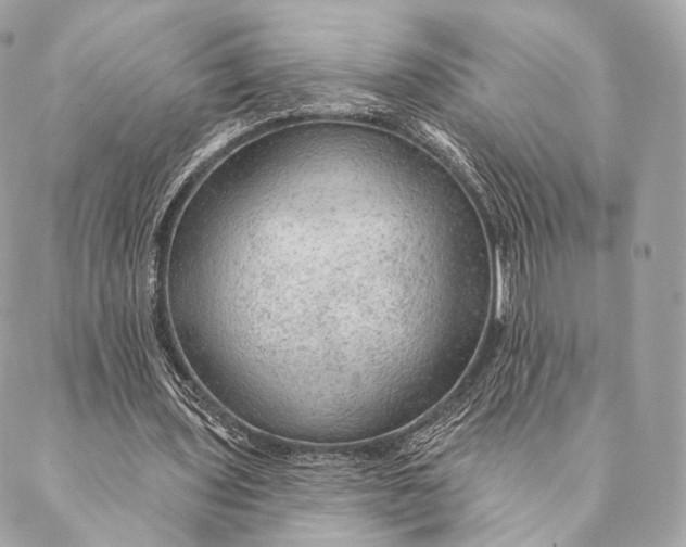 X0000087380435200705111739