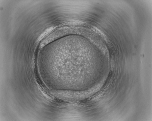 X0000087380436200705111739