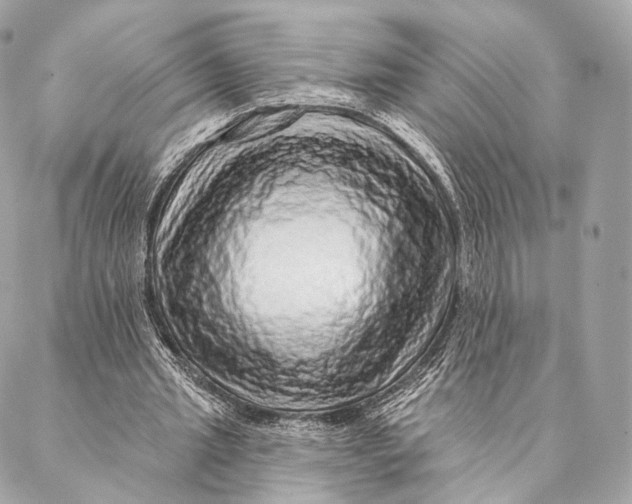 X0000087380437200705111739