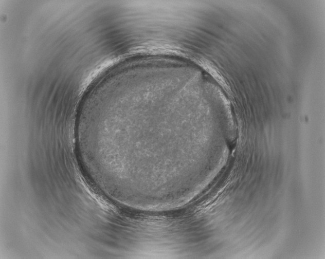 X0000087380438200705111739