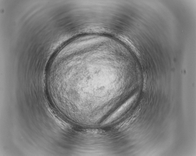 X0000087380439200705111739