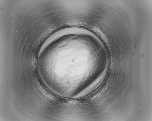 X0000087380441200705111739