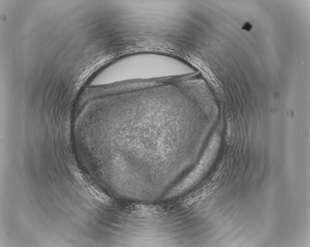 X0000087380442200705111739