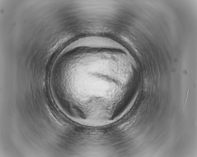 X0000087380443200705111739