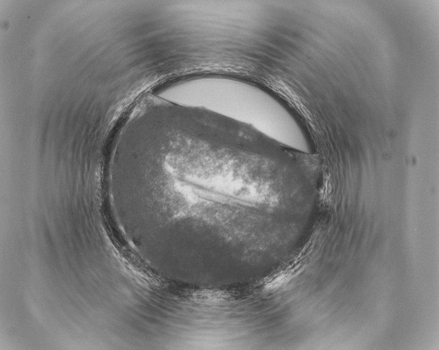 X0000087380444200705111739