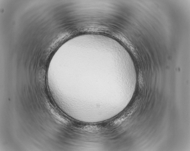 X0000087380445200705111739