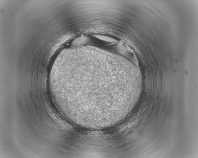 X0000087380446200705111739