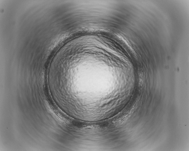 X0000087380447200705111739