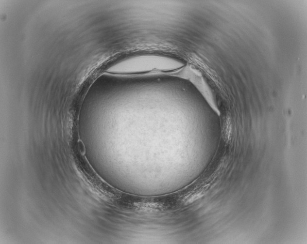 X0000087380448200705111739