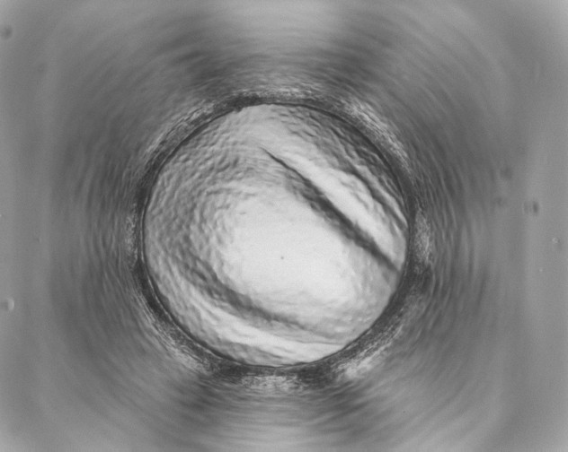 X0000087380449200705111740