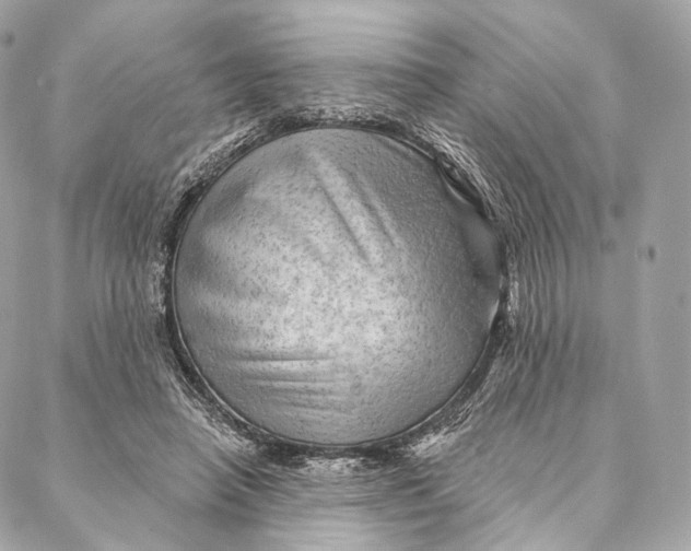 X0000087380450200705111740