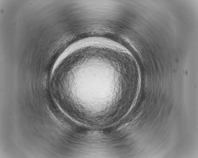 X0000087380451200705111740