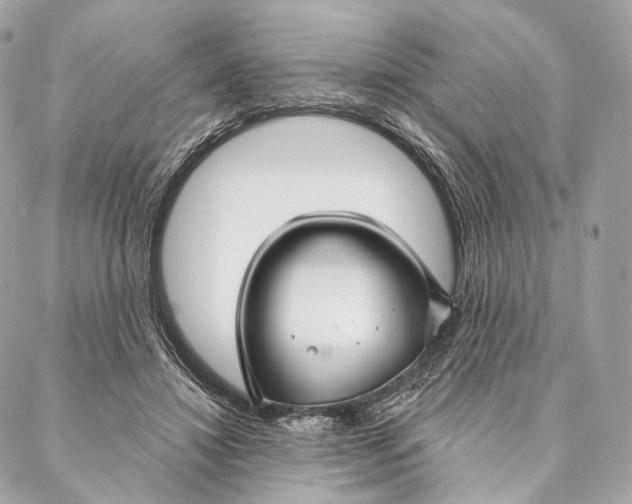 X0000087380452200705111740