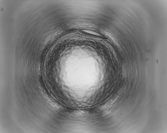 X0000087380453200705111740