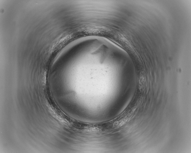 X0000087380454200705111740