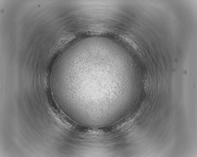 X0000087380455200705111740