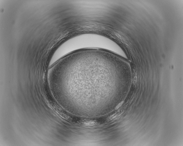 X0000087380456200705111740