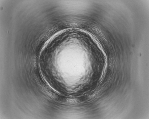 X0000087380457200705111740