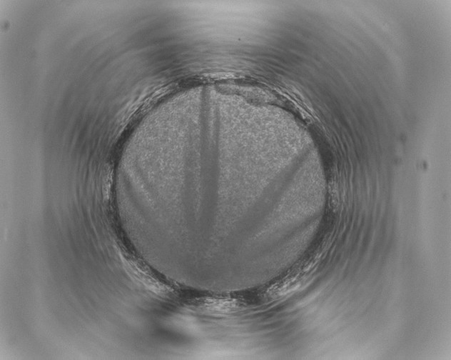 X0000087380458200705111740