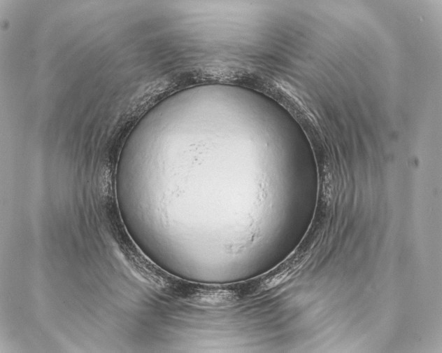 X0000087380459200705111740