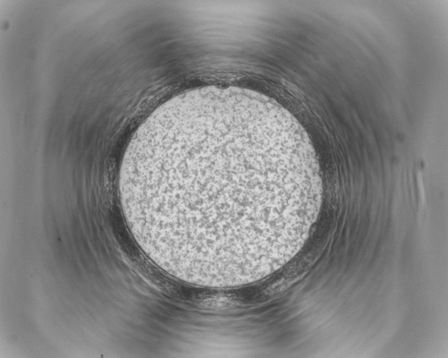 X0000087380460200705111740