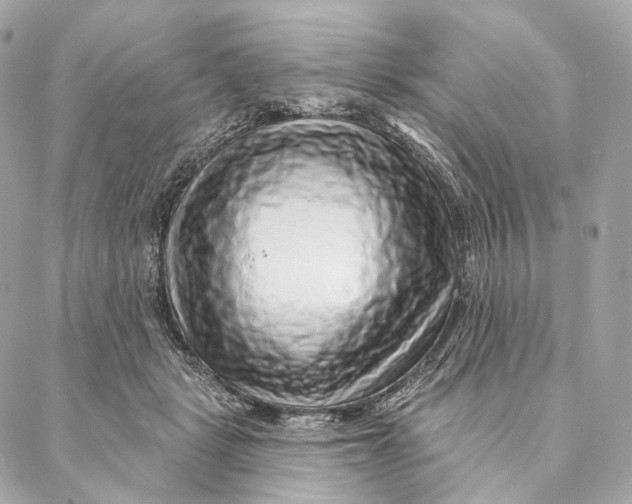 X0000087380461200705111740