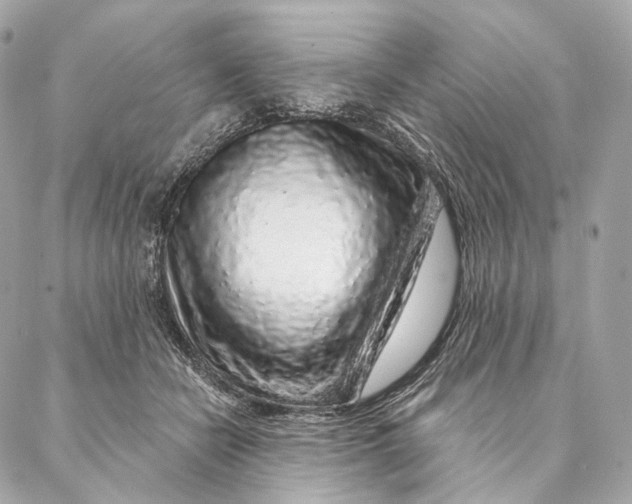 X0000087380462200705111740