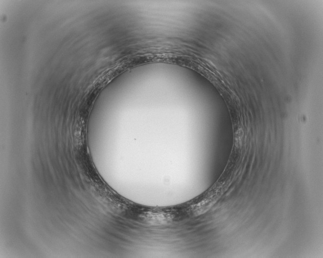 X0000087380464200705111740