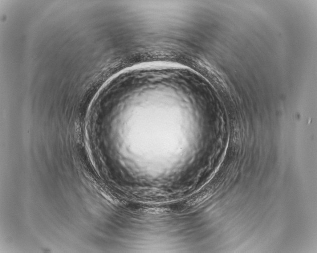 X0000087380465200705111740