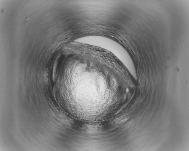 X0000087380466200705111740